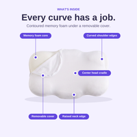 The Cloudbound Pillow