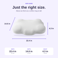 The Cloudbound Pillow