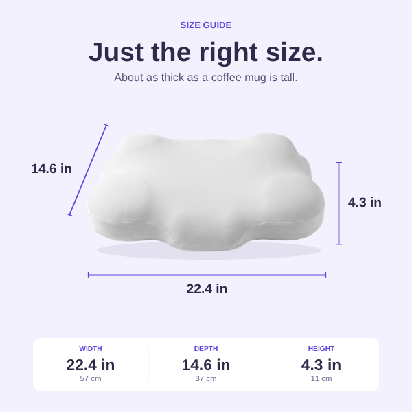 The Cloudbound Pillow